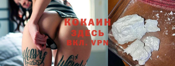 mdpv Новодвинск