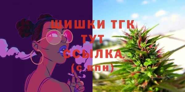 mdpv Новодвинск