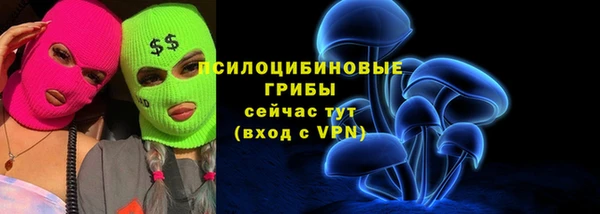 mdpv Новодвинск