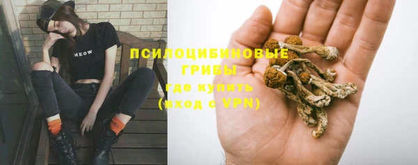 mdpv Новодвинск