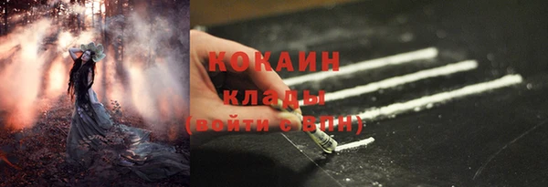 mdpv Новодвинск