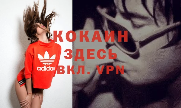 мяу мяу мука Новозыбков