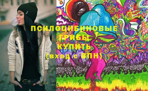 мяу мяу мука Новозыбков