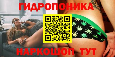 крисы Ипатово