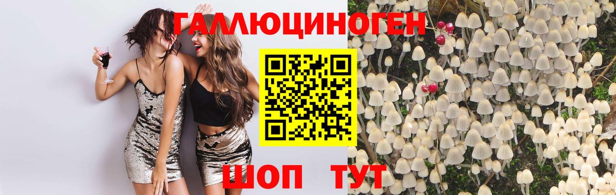 Псилоцибиновые грибы прущие грибы Рассказово