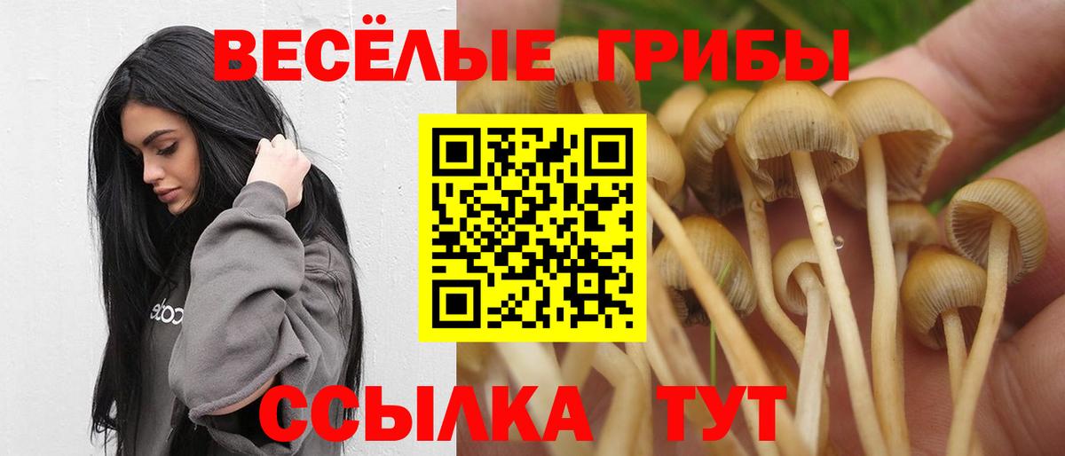 Псилоцибиновые грибы ЛСД  Псилоцибиновые грибы ЛСД  Рассказово  Вход с VPN 